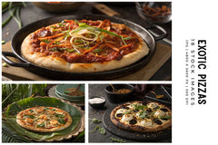 Exotic Pizzas - Stock Images - CraftNest - Digital Crafting and Art