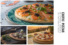 Exotic Pizzas - Stock Images - CraftNest - Digital Crafting and Art