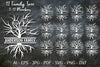 Family Tree Sign SVG Bundle