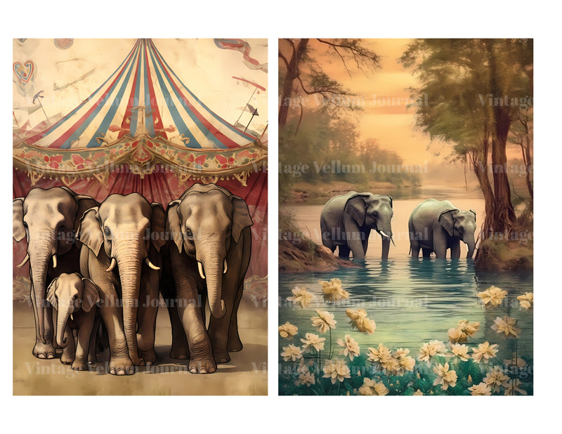 Elephants Junk Journal Pages - CraftNest