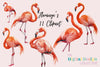 Vibrant Tropical Flamingo Clipart Bundle