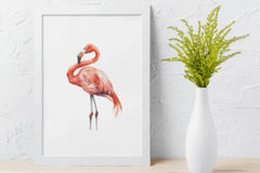 Vibrant Tropical Flamingo Clipart Bundle - CraftNest - Digital Crafting and Art