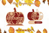 Floral Autumn Lasercut SVG Bundle