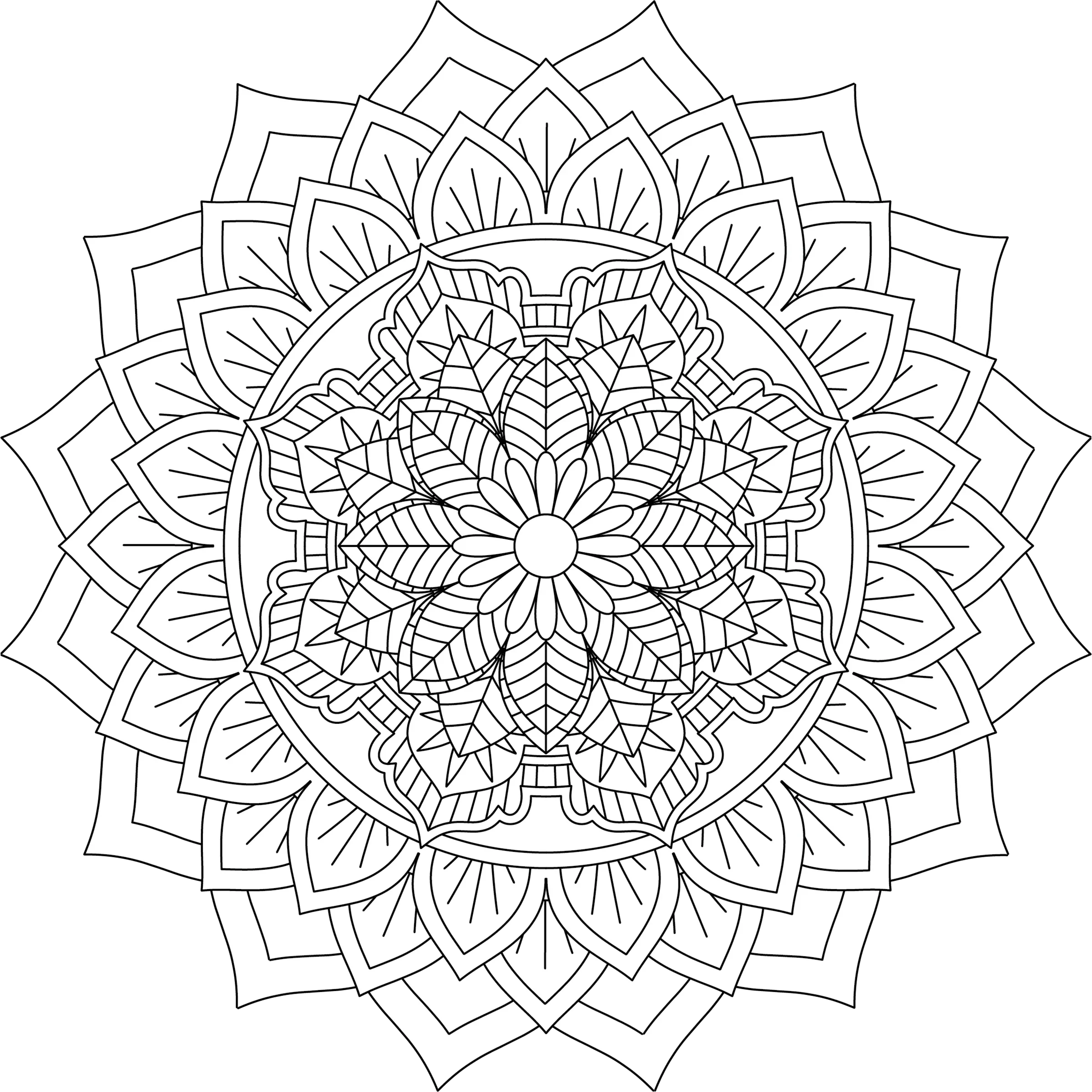 Colorist Heaven Mandala Coloring Book - CraftNest - Digital Crafting and Art