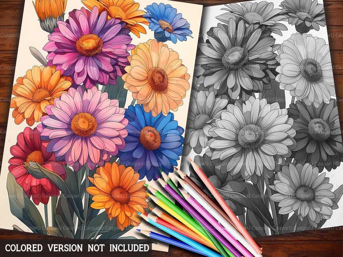 Flower Asters Coloring Books - CraftNest