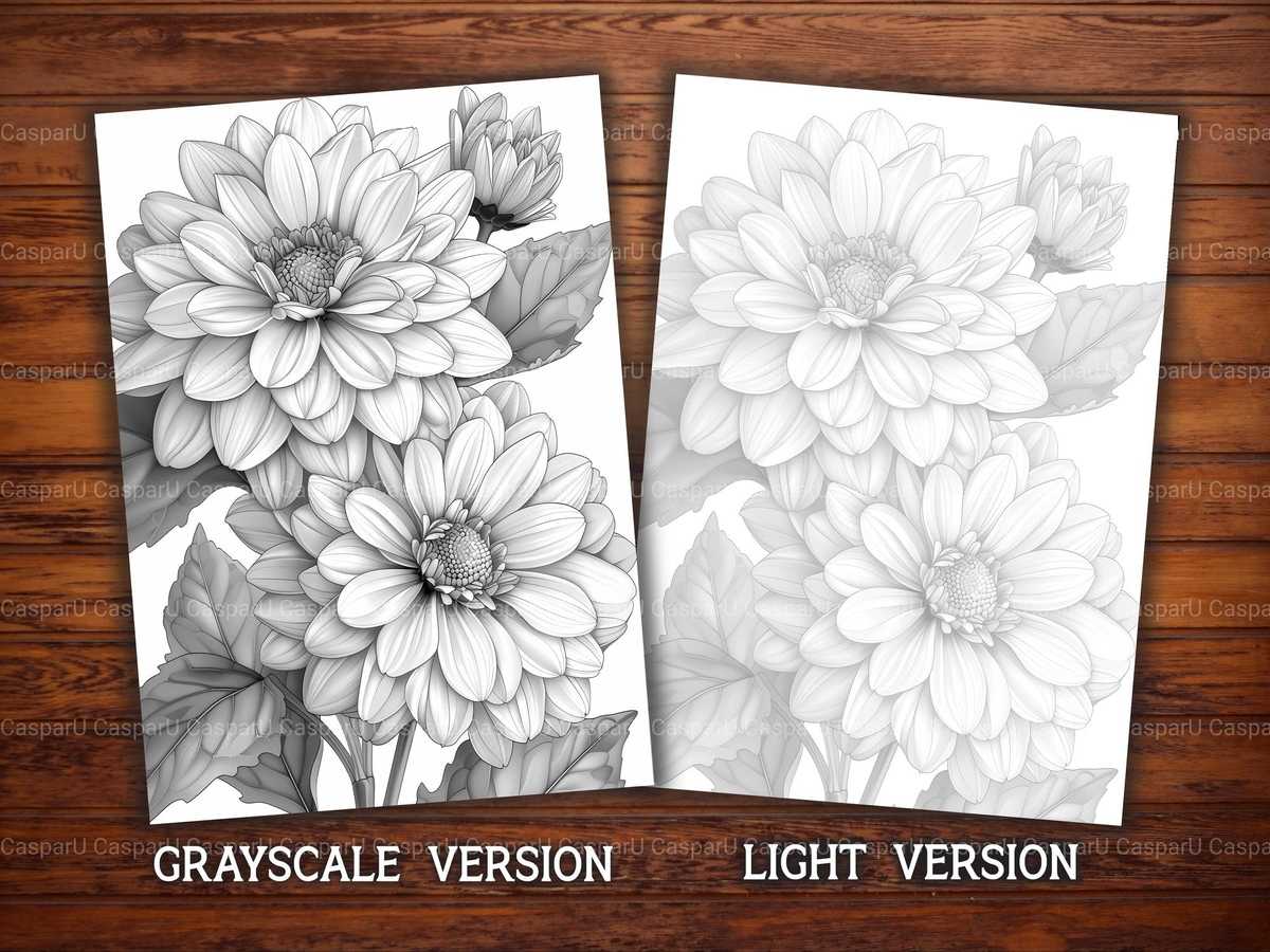Flower Asters Coloring Books - CraftNest