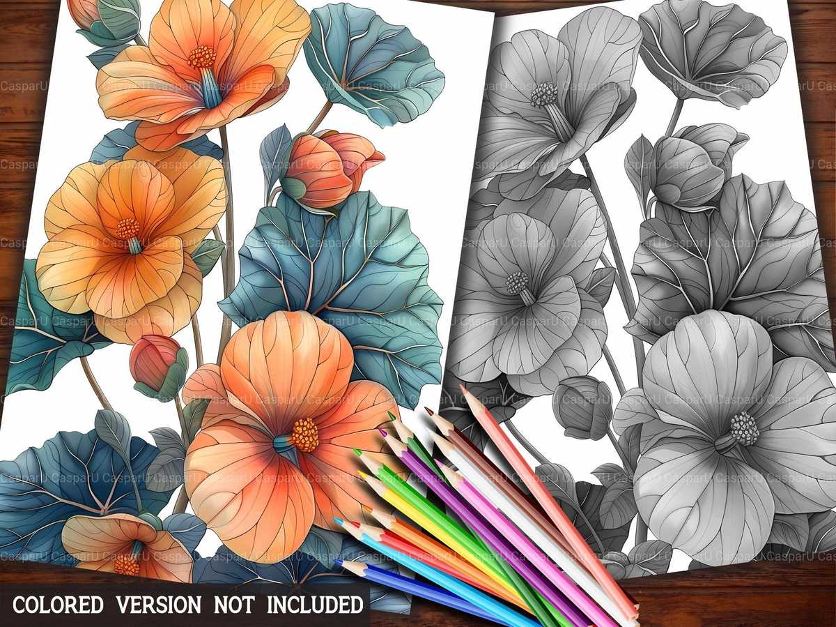 Flower Begonias Coloring Books - CraftNest