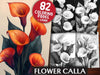 Flower Calla Coloring Books