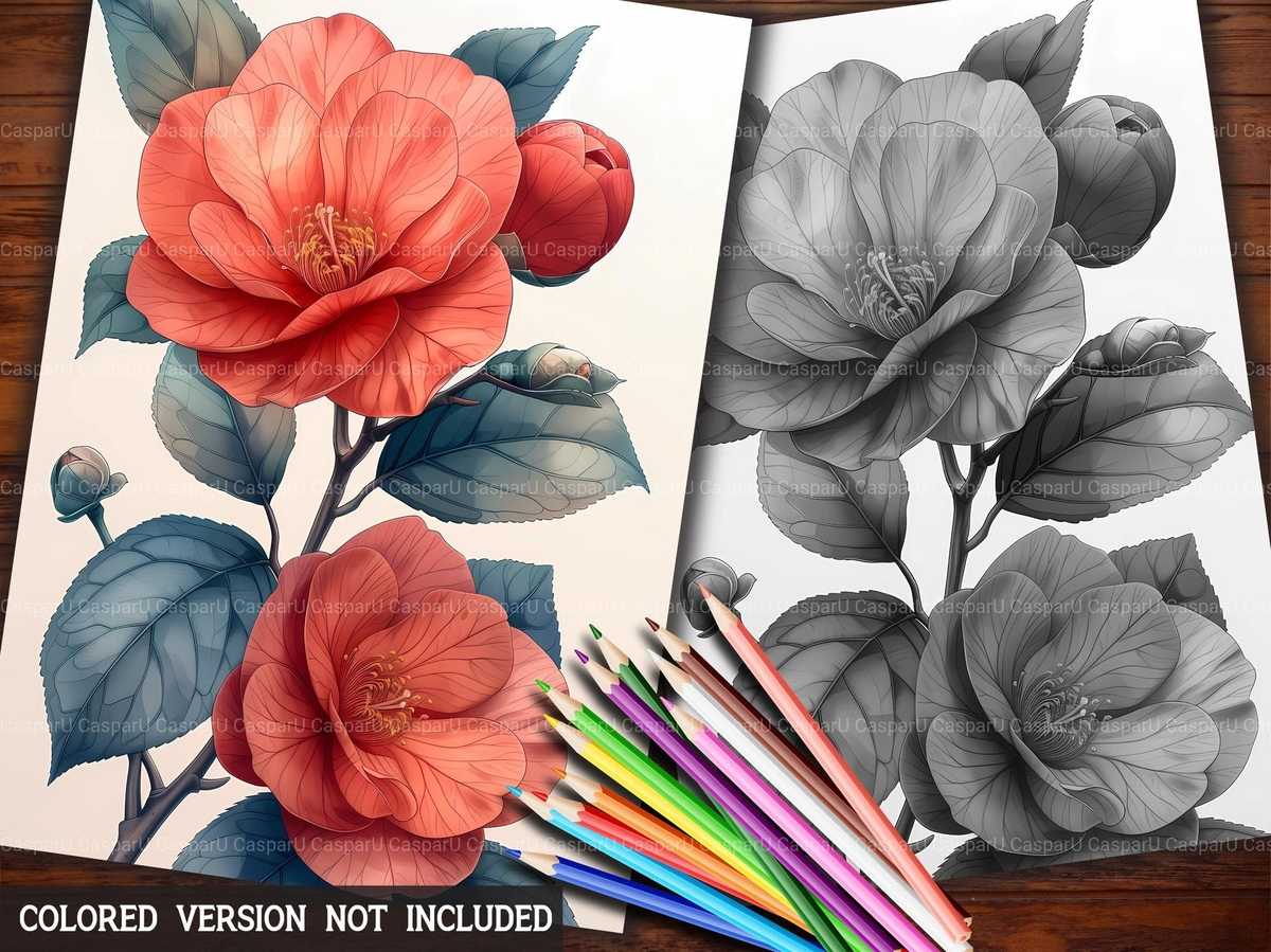 Flower Camellias Coloring Books - CraftNest