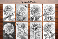 Flower Dahlias Coloring Books - CraftNest