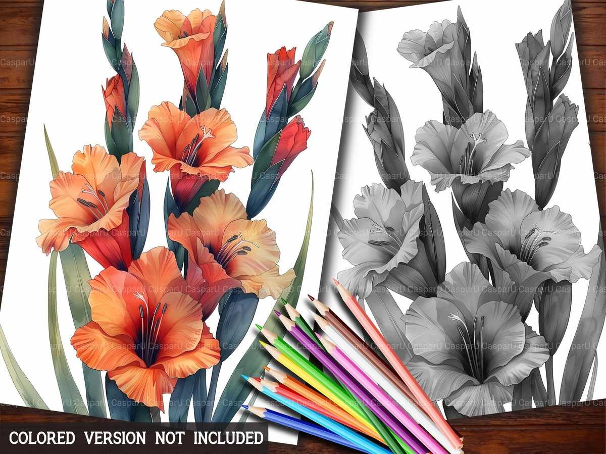 Flower Gladiolus Coloring Books - CraftNest