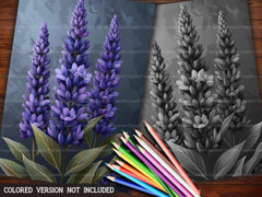 Flower Lavender Coloring Books - CraftNest
