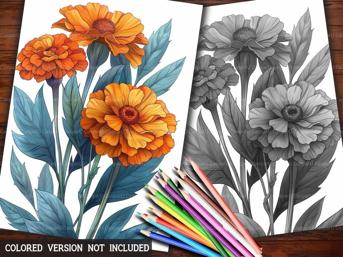 Flower Marigolds Coloring Books - CraftNest