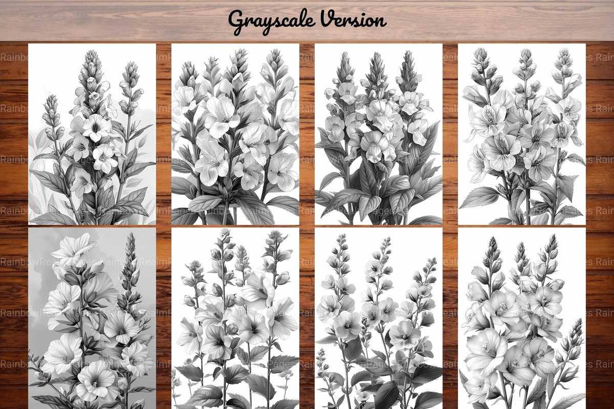 Flower Snapdragon Coloring Books - CraftNest