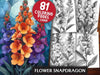 Flower Snapdragon Coloring Books