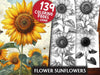 Flower Sunflowers Coloring Books