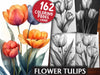 Flower Tulips Coloring Books
