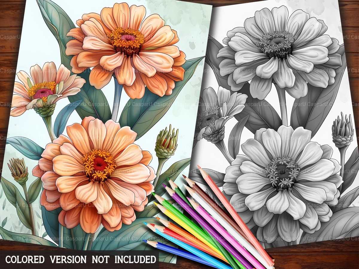 Flower Zinnias Coloring Books - CraftNest