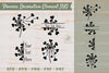 Floral Decorative Elements & Borders Clipart Bundle
