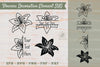 Floral Decorative Elements & Borders Clipart Bundle