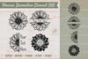 Floral Decorative Elements & Borders Clipart Bundle