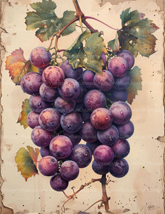 Grape Junk Journal Pages - CraftNest - Digital Crafting and Art