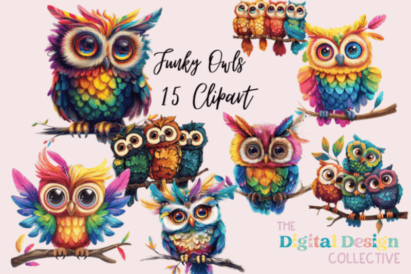 Funky Owl & Groovy Birds Clipart Bundle - CraftNest - Digital Crafting and Art