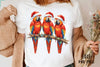 Funny Christmas Bird Clipart Bundle