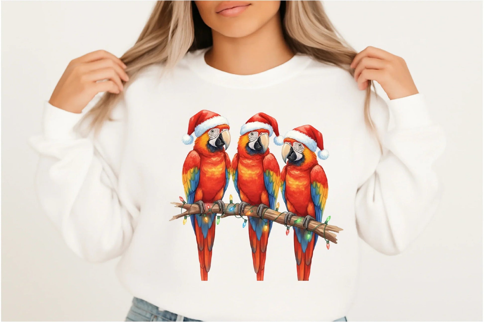 Funny Christmas Bird Clipart Bundle - CraftNest - Digital Crafting and Art