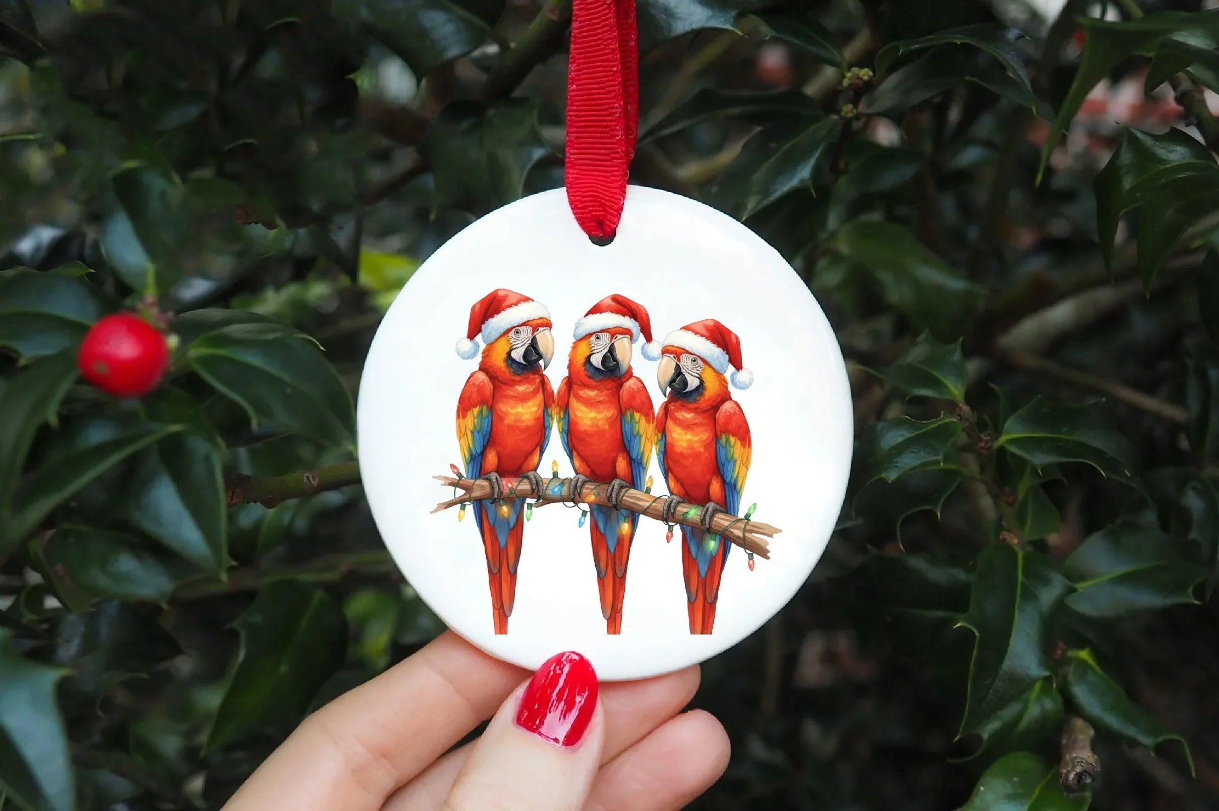 Funny Christmas Bird Clipart Bundle - CraftNest - Digital Crafting and Art