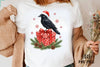 Funny Raven Christmas Clipart Bundle