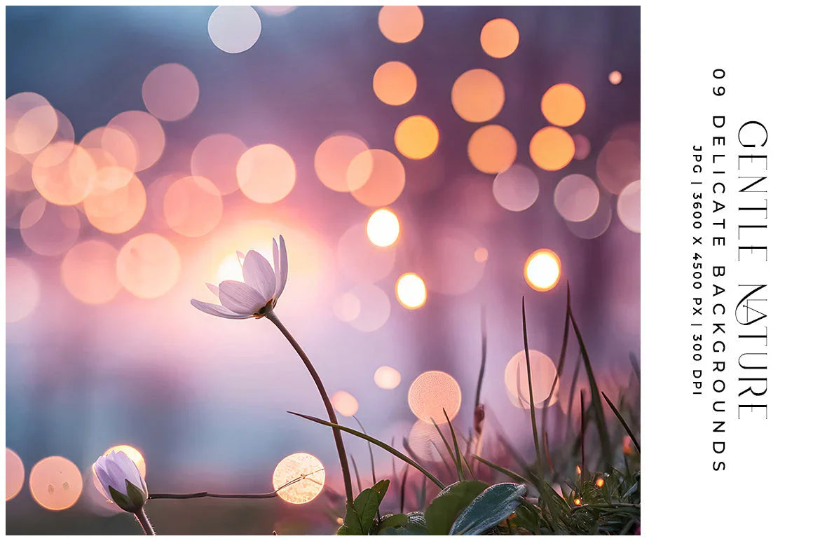 Gentle Nature - Stock Images - CraftNest - Digital Crafting and Art