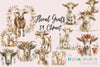 Goats Clipart Bundle