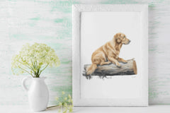 Golden Retriever Art Clipart Bundle - CraftNest - Digital Crafting and Art
