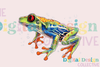 Green Tree Frog Clipart Bundle