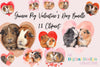 Guinea Pig Valentine's Day Clipart Bundle