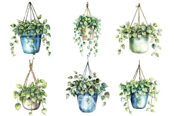 Hanging Plant Vase Clipart Bundle - CraftNest - Digital Crafting and Art