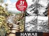 Hawaii Coloring Books