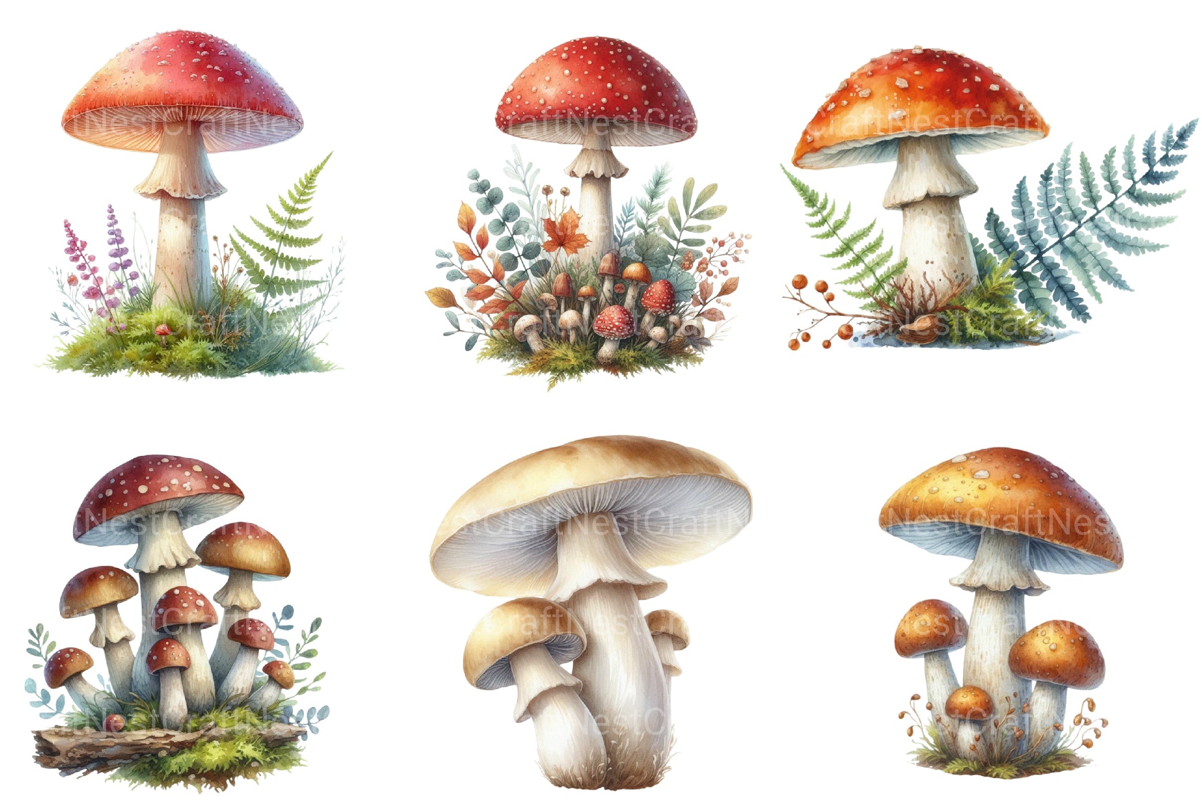 Mushroom Clipart Bundle 3