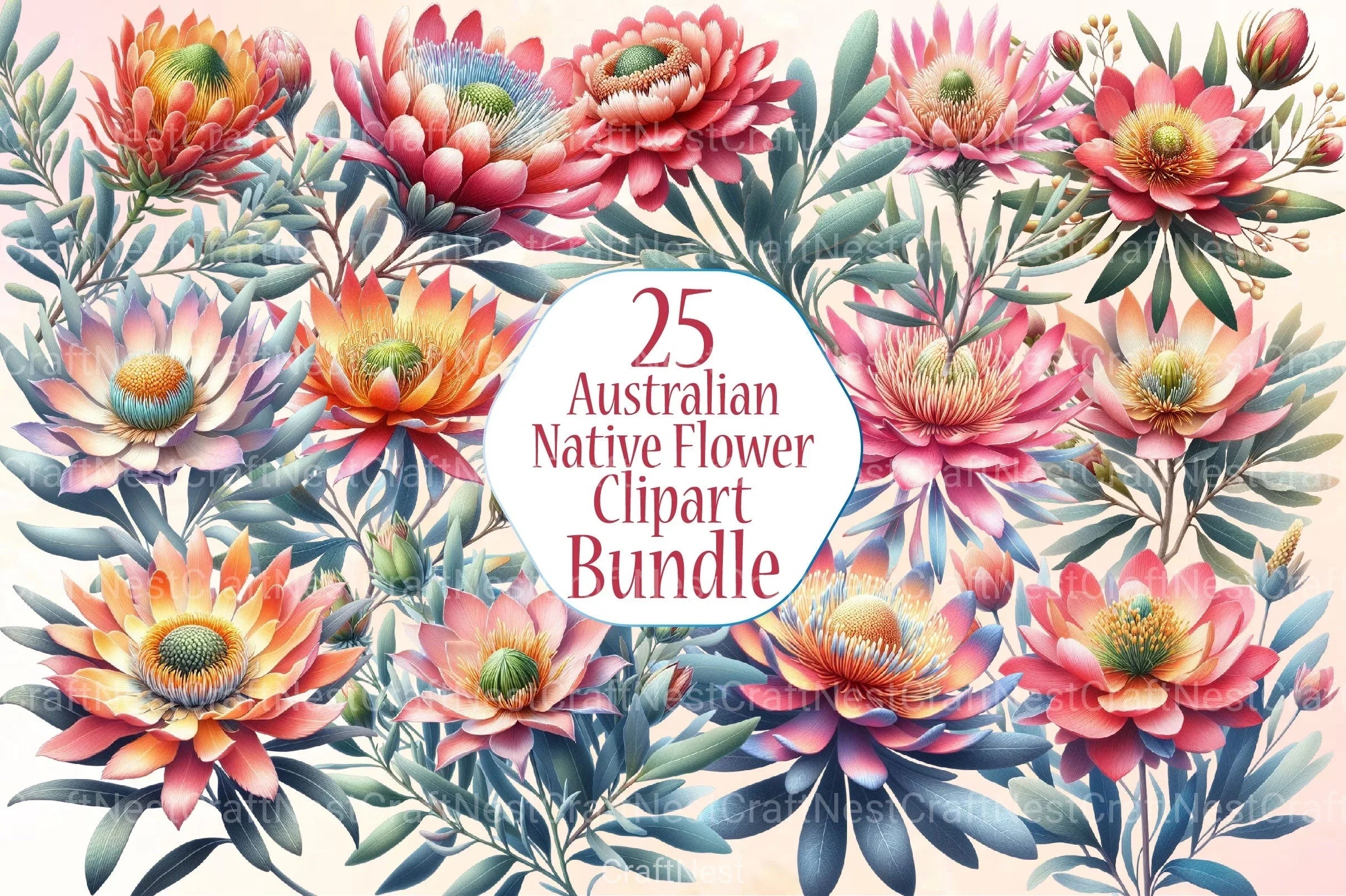 Australian Native Flowers Clipart Bundle - CraftNest - Digital Crafting and Art