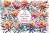 Australian Native Flowers Clipart Bundle