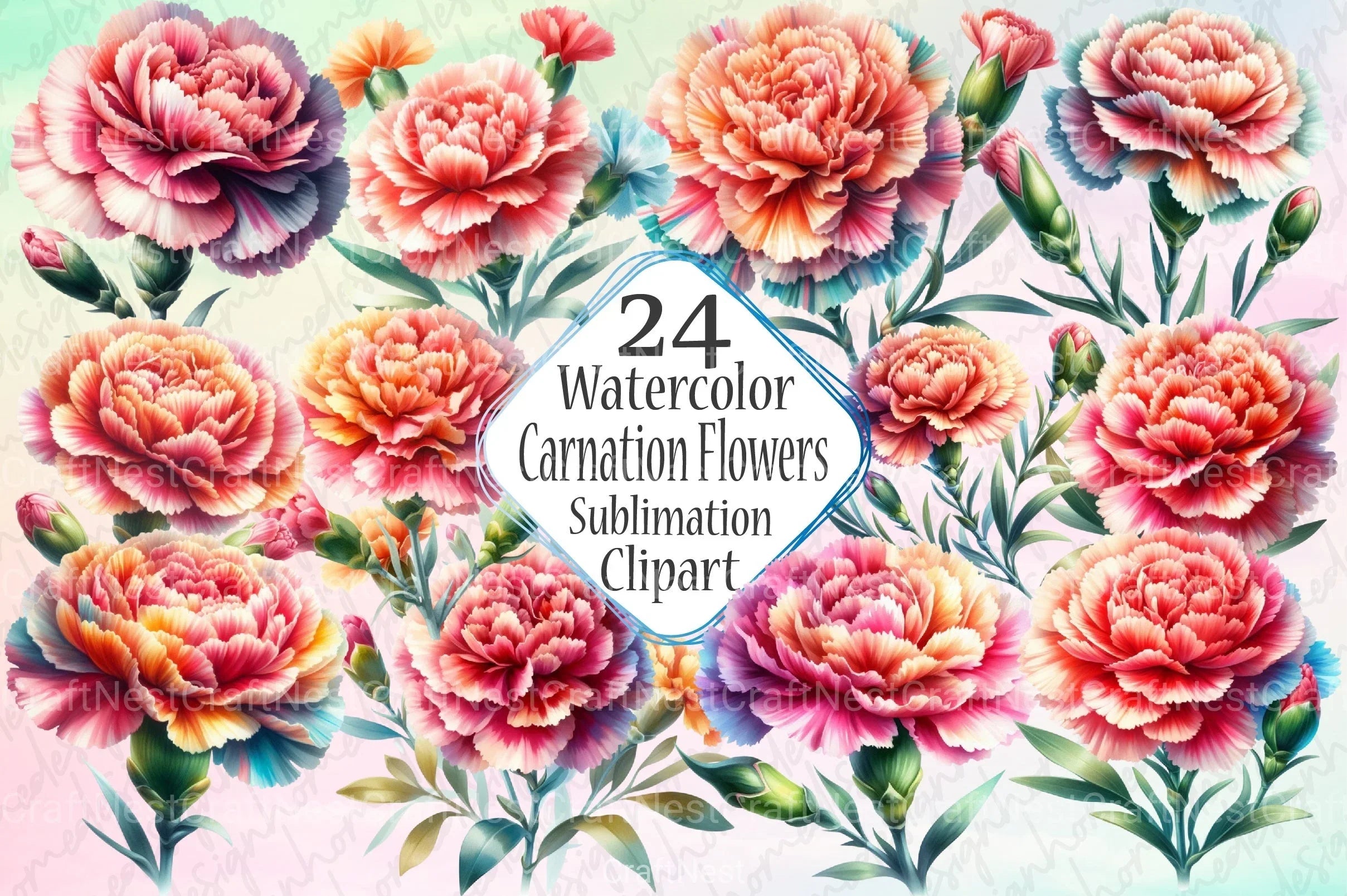 Carnation Clipart Bundle - CraftNest - Digital Crafting and Art