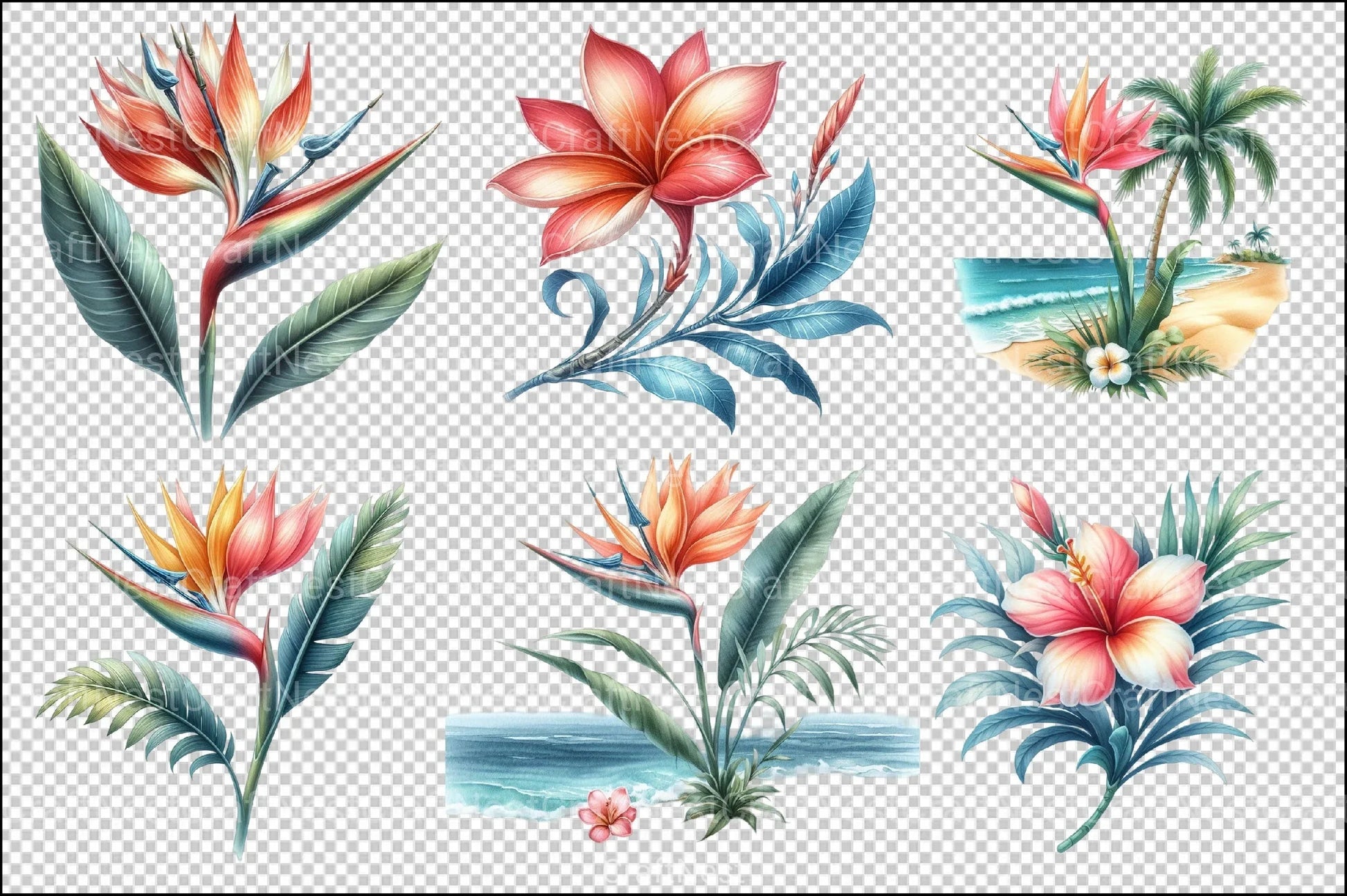 Tropical Beach Clipart Bundle - CraftNest - Digital Crafting and Art