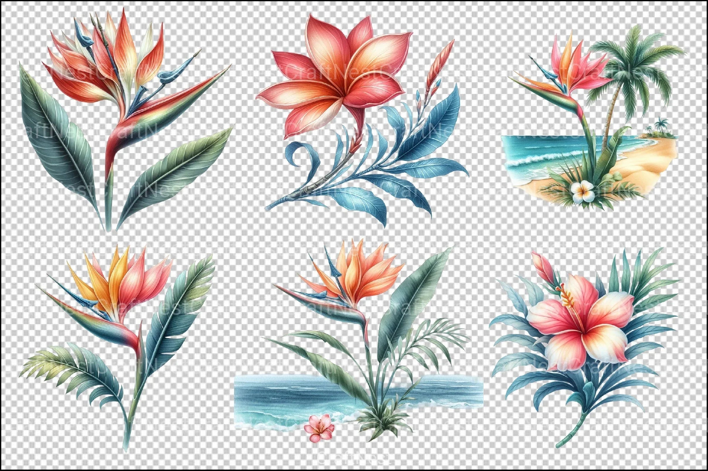 Tropical Beach Clipart Bundle - CraftNest - Digital Crafting and Art