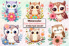 Cute Owl Clipart Bundle