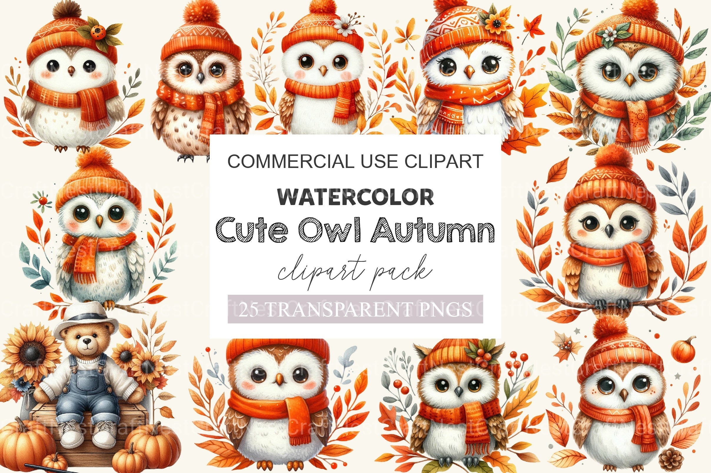 Cute Owl Autumn Clipart Bundle