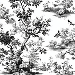 Black White Spring Toile De Jouy Pattern Clipart Bundle - CraftNest - Digital Crafting and Art