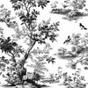 Black White Spring Toile De Jouy Pattern Clipart Bundle