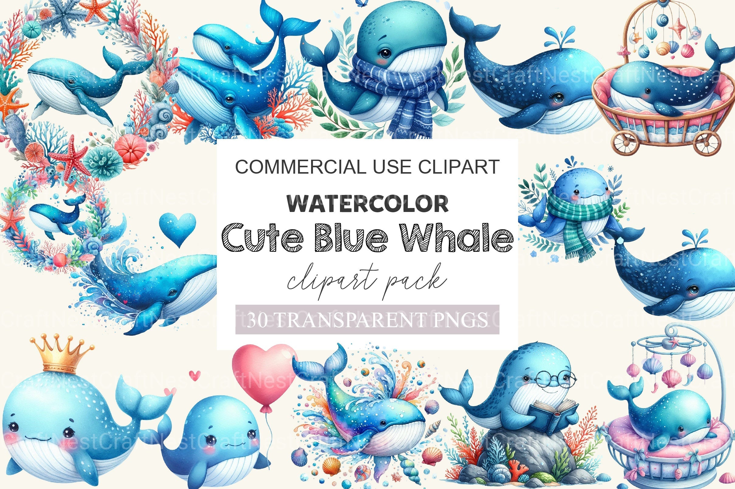 Whale Blue Whale Clipart Bundle 2