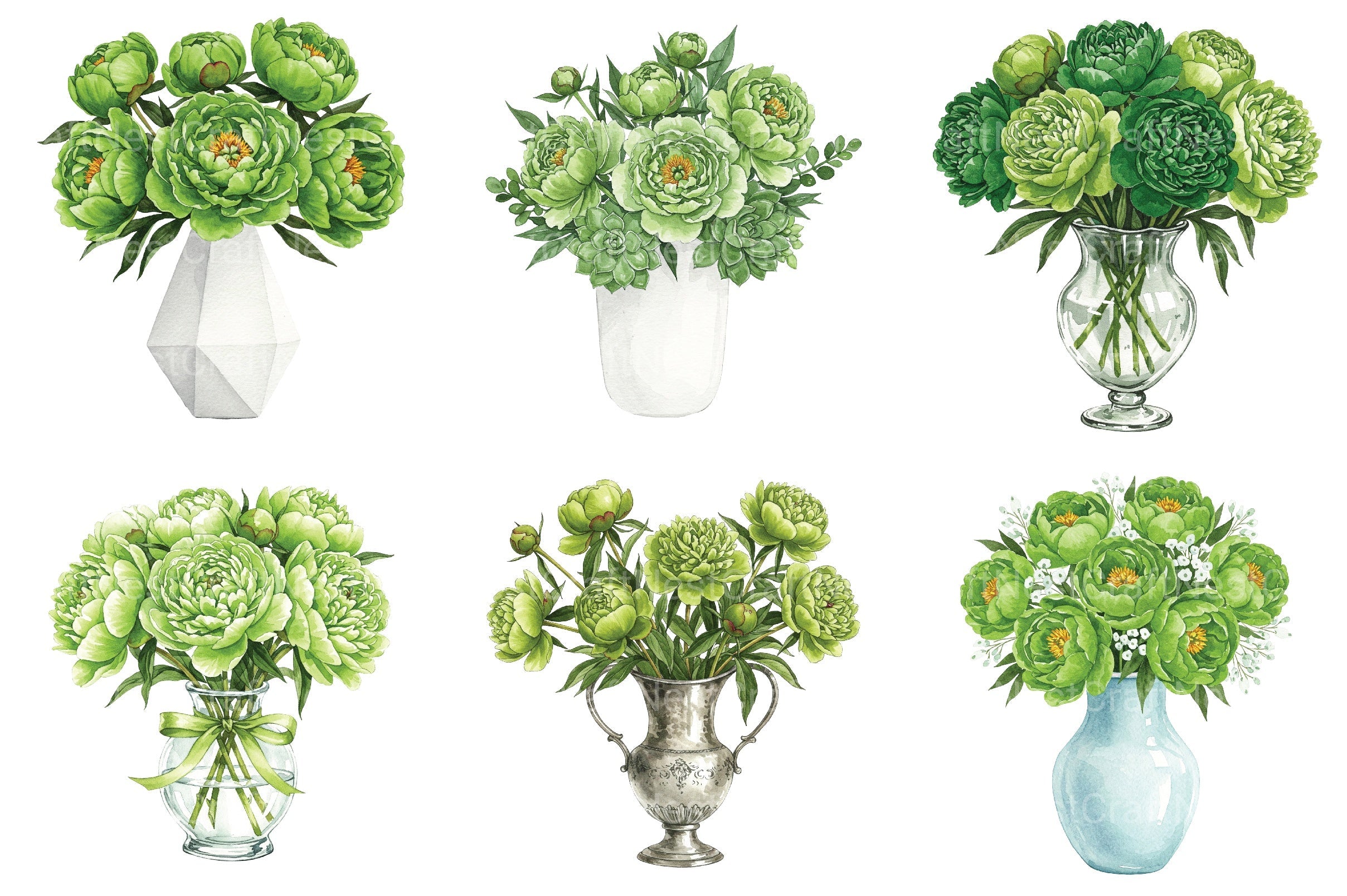 Green Peony Bouquet In Vase Clipart Bundle